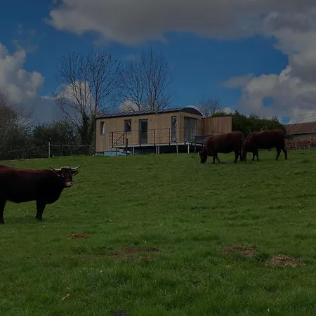 Au P'tit Pre Des Salers