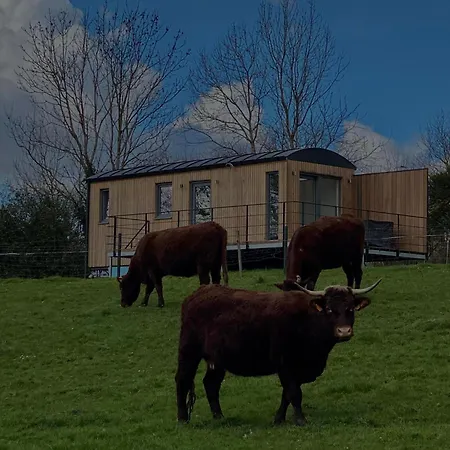 カントリーハウス Au P'tit Pre Des Salers Hamois