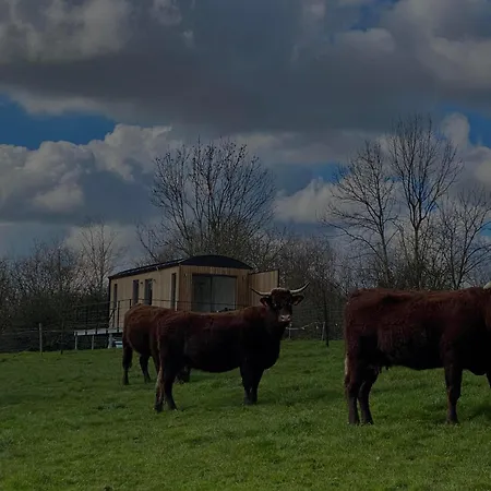 Au P'tit Pre Des Salers Hamois