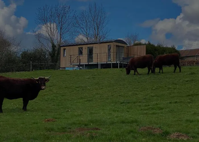 Au P'tit Pré Des Salers