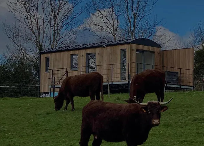 Casa di campagna Au P'tit Pré Des Salers Hamois