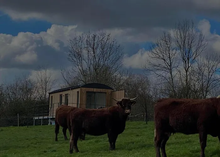 Au P'tit Pré Des Salers Hamois