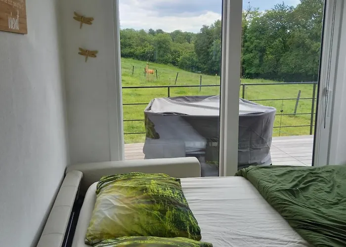 Au P'tit Pré Des Salers Casa di campagna *